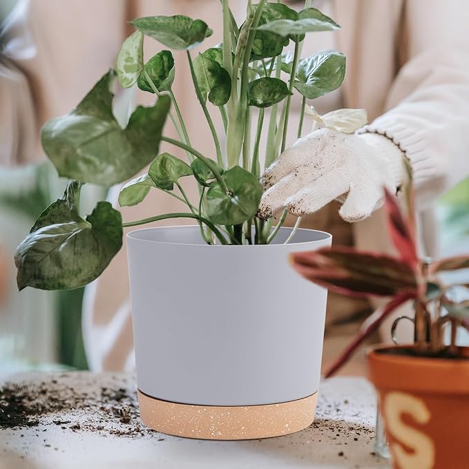 QCQHDU 6.5 inch Plant Pot, 2 Pack Planters for Indoor Plants with Drainage Holes & Saucer, Outdoor Flower Pots Home Garden Modern Decor