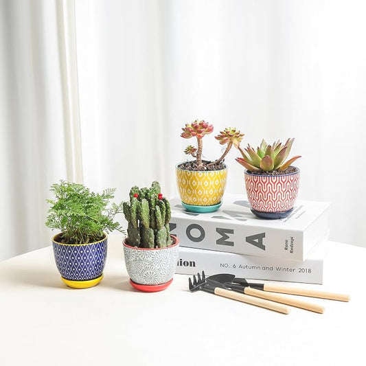 Selamica Ceramic Succulent Pots, 3.5 Inch Small Plant Pots for Indoor Plants Cactus Herbs, Succulent Planters with Drainage Holes & Saucers, Home Decor, Set of 6, Assorted Colors