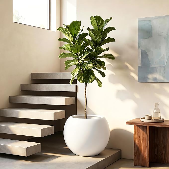 13.5" H x 17" Dia White Fiberstone Planter Pot with Drainage Hole, Large Round Indoor Outdoor Flower Pot for Artificial Olive Trees, Large Plants, Decorative Planter for Patio, Porch & Garden