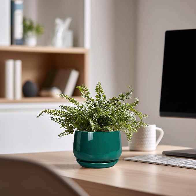 G EPGardening 4 inch Plant Pots - Small Ceramic Planter with Drainage Hole & Tray, Succulent Pots Indoor Outdoor, Round Modern Planter, Decorative Flower Pot, Desk Decor, Gifts for Plant Lover, Green