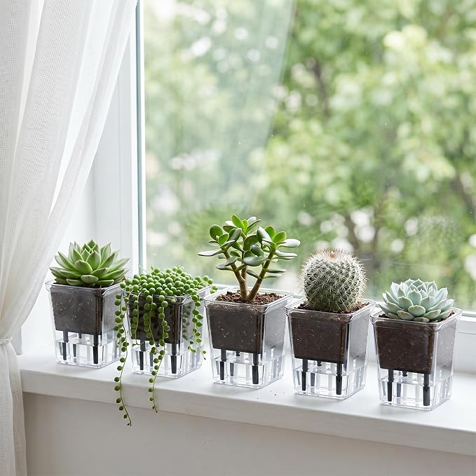 Self Watering Pots Set, 5 Pack 2.7 Inch Self Watering Pots for Indoor Plants, Clear Planter Pot with Deep Reservoir for Spider Plant, Orchid, African Violet (5Pcs Small)