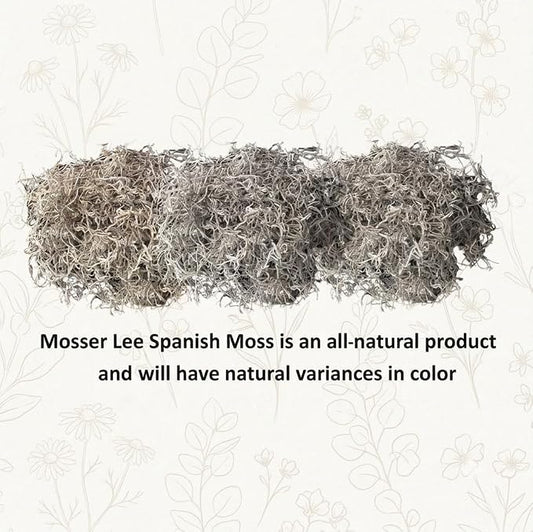 Mosser Lee Spanish Moss – Natural Decorative Moss for Houseplants, Soil Cover, Crafts, Terrariums & Floral Arrangements - 400 Cubic Inches (Approx 9oz)