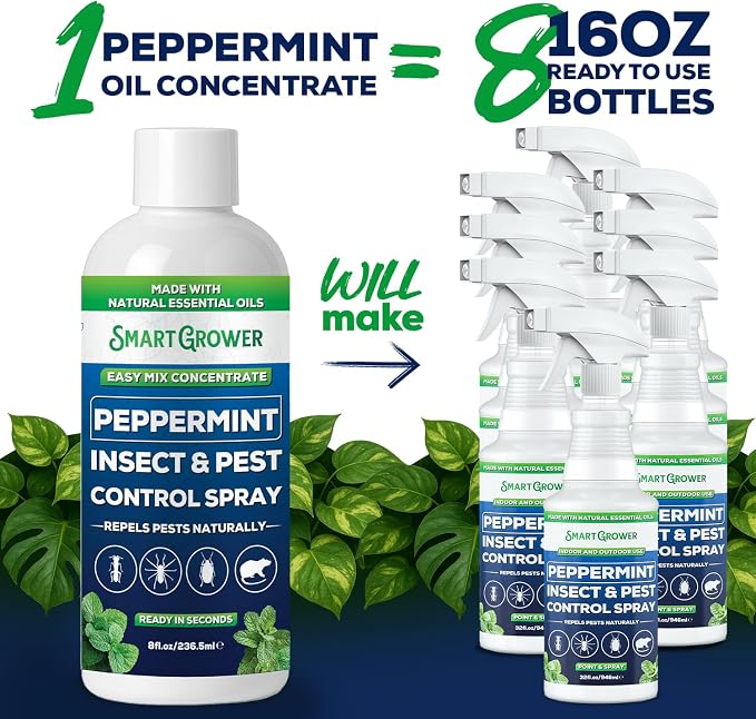 Peppermint Insect & Pest Control Best Value Concentrate - Repels Insects & Pests for Home, Indoor, Outdoor, Garden - Maximum Strength Concentrate (Makes One Gallon RTU) 8 oz