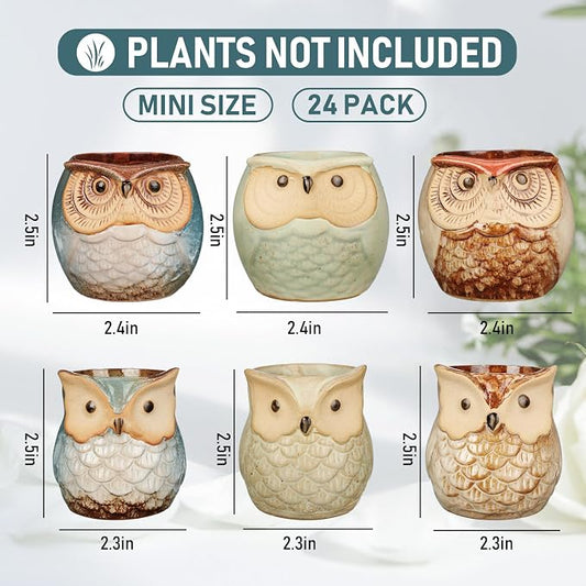 Nitial 24 Pack Owl Succulent Plant Pots Mini Small Ceramic Pots with Drainage Hole Cute Planters for Plants, Plants Not Included, Home Office Desk Garden Gift Ideas, 2 Size