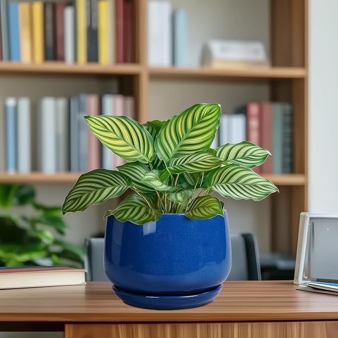 G EPGardening Round Ceramic Plant Pots - 7 Inch Modern Planter with Drainage and Plant Saucer for Indoor Outdoor Flower, Round Office Decor, New Gifts for Home, Blue