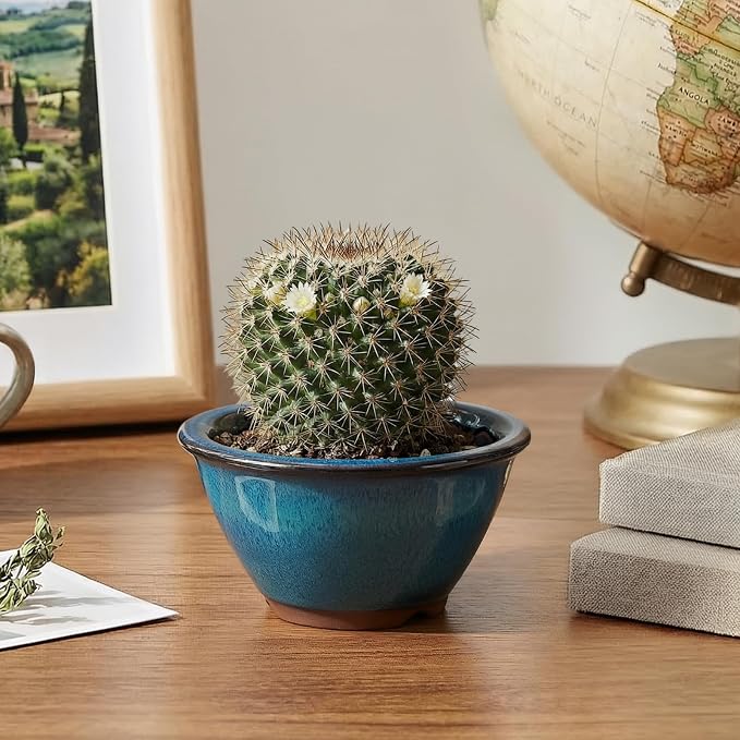 6 Pack Bonsai Pot Planter, 3" 4" Ceramic Glazed Succulent Pots | Small Succulent Planters with Drainage, for Indoor Outdoor Plants, Cactus, Flowers