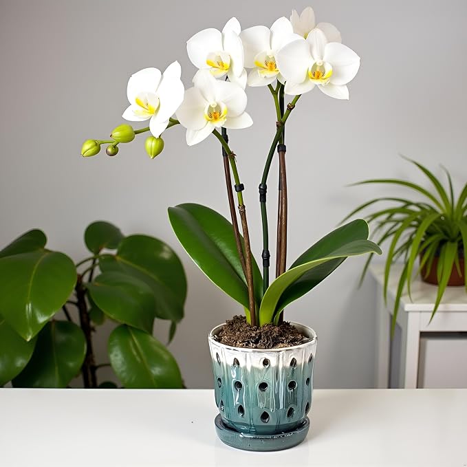Orchid Pots 4.9 inch Ceramic Orchid Pots with Holes Set of 2 Cream Over Turquoise