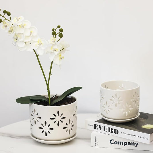 EFISPSS Orchid Pot 5+6 Inch, Ceramic Orchid Pots with Holes, Enhance Good Ventilation and Drainage, Orchid Pots Indoor/Outdoor Plants or Repotting -White