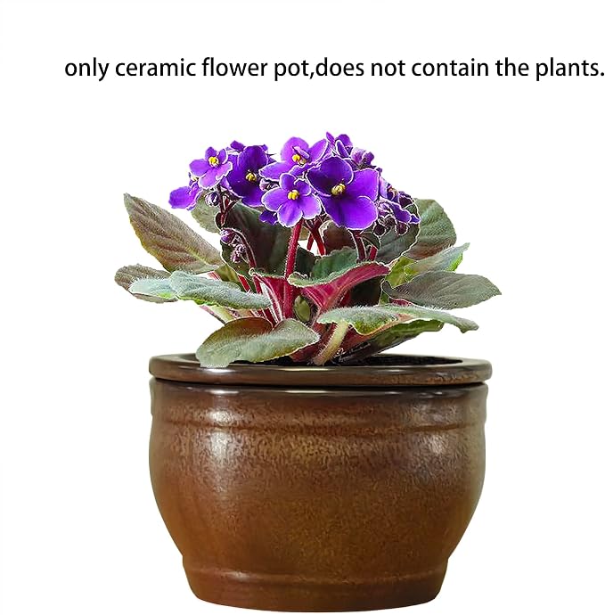 African Violet Pots Self Watering Round Ceramic Violet Pot (Copper, 6 inch)
