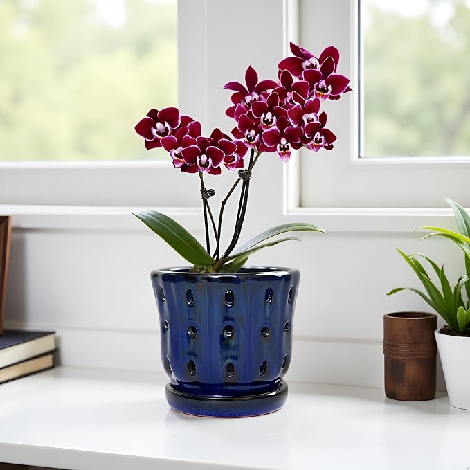 Orchid Pots 4.9 inch Ceramic Orchid Pots with Holes and Draiange Hole Orchid Planter Set of 2 (Dark Blue)