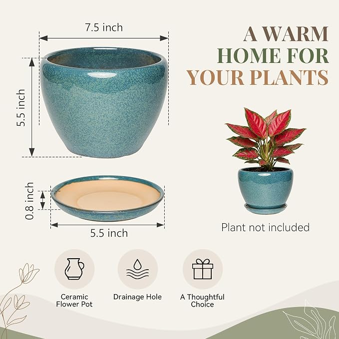 7.5 Inch Ceramic Plant Pot with Drainage Hole Mesh Net,Modern Gardening Pots for Indoor Plants with Saucer, Crackle Blue