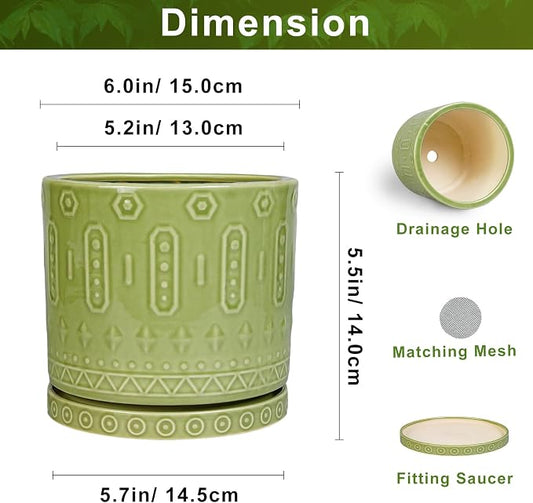 Eightpot Ceramic Flower Pots, 6 Inch Planter for Indoor Plants Outdoor, Round Pots for Plants with Drainage Hole and Tray, Modern Decorative Plant Pot, Bathroom Decor, Green