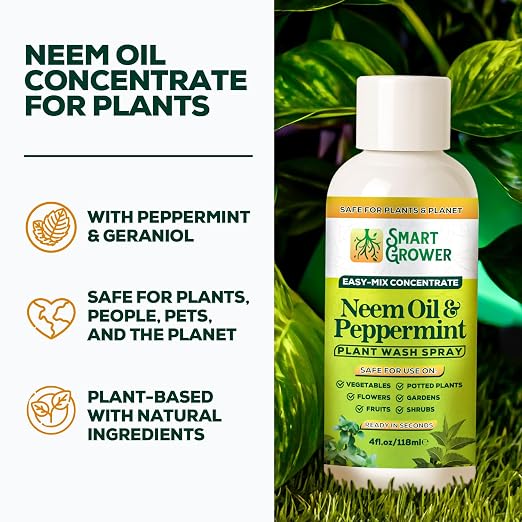 Neem Oil Spray for Plants with Peppermint Oil – for Indoor & Outdoor Plants, Gardens, & Houseplants– Best Value Refill 4 oz Concentrate Makes 1/2 Gallon RTU