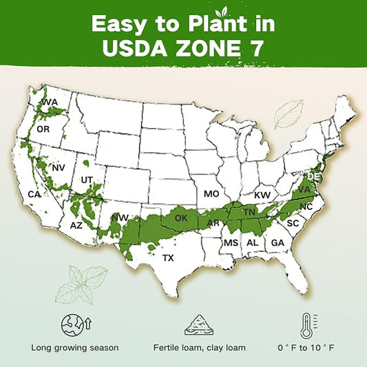 Year-Round Zone 7 Seed Bank, Gift for Mom Dad, 32 Varieties Heirloom Seeds | 30,000+ Non-GMO Vegetable Herb Flower Seeds, Gardening Gifts for Women Men, Survival Seed Kit, Raised Garden Beds Greenhouses