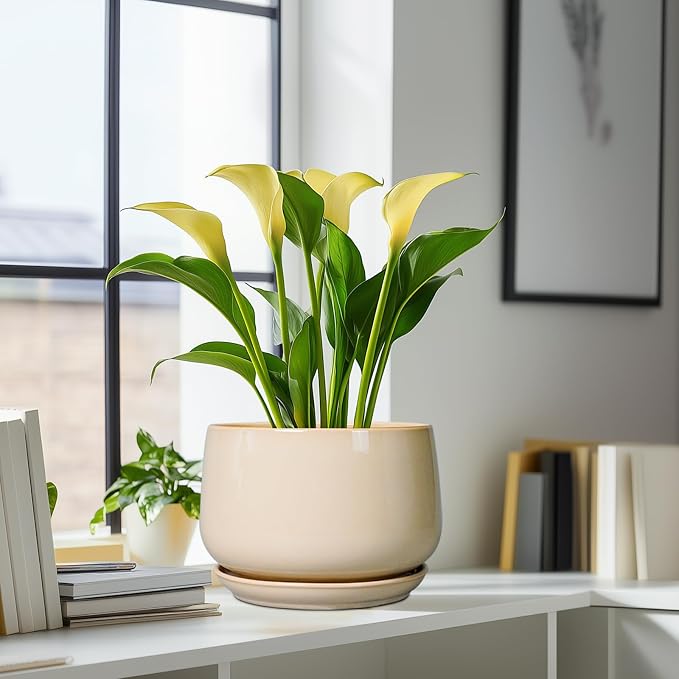 G EPGardening Ceramic Plant Pots - 9 Inch Round Planter, Ceramic Flower Pots with Drainage and Saucer, Modern Indoor Outdoor Planter, Room Decor, Home Gifts, Beige