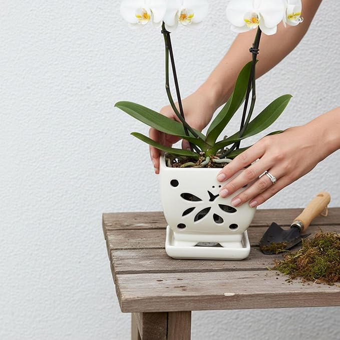 Orchid Pots with Holes Square Ceramic Orchid Planter Pots 5.5 inch (Cream)
