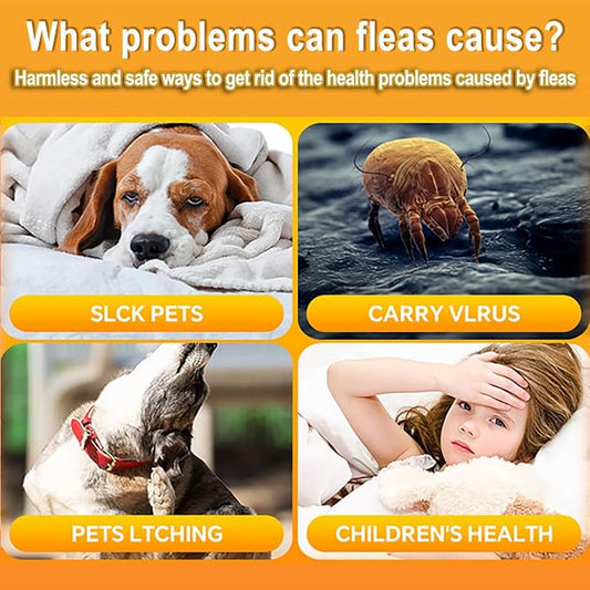 2 Pack Flea Traps for Inside Your Home, Home Flea Killer with 6 Sticky Pads & 6 Bulbs, Bed Bug Trap Pest Control, Non-Toxic & Natural Insect Infestation Treatment Trap for Pets & Kids