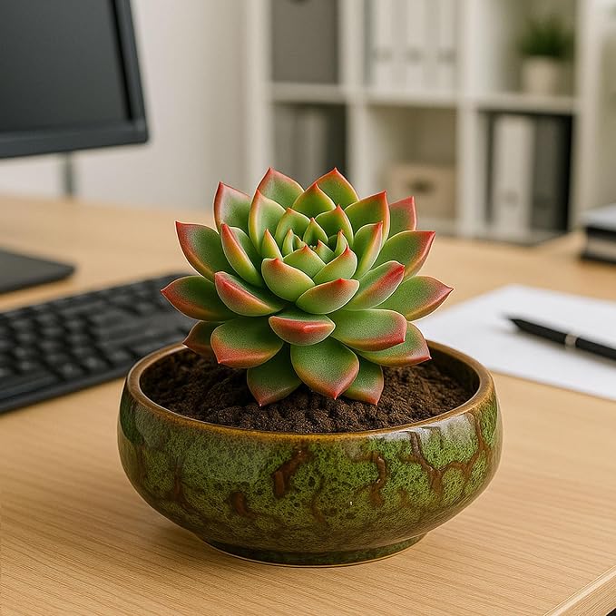 Oncpcare Lotus Bowl Planter – Ceramic Water Plant Pot Sacred Bonsai Bowl Lotus Flower, Shallow Glazed Vase for Lotus Seeds, Bonsai, Succulents, Hydroponic Plants (Blue)