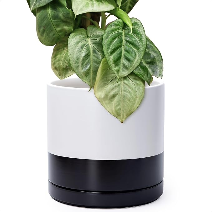 D'vine Dev 12 Inch Ceramic Planter Pot, Black White Two Tone, 94-O-F-L | Modern Cylinder Design, Drainage Hole & Saucer Included, Stable Structure, Elegant Home Accent