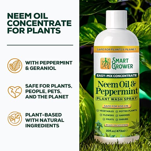 Neem Oil Spray for Plants with Peppermint Oil – for Indoor & Outdoor Plants, Gardens, & Houseplants– Best Value Refill 16 oz Concentrate Makes 2 Gallon RTU