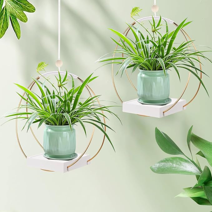 hismocal 2 Pack Hanging Planter Holder for Indoor Plants, Plant Hanger with Sturdy Wood Base,Modern Boho Macrame Wall Ceiling Window Stands(Plants/Pots Not Included)