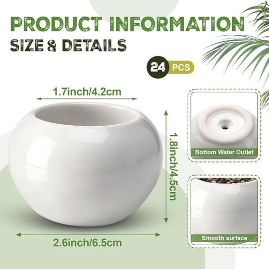 24 Pack 2.5 Inch Mini Succulent Plant Ceramic Pot with Drainage Hole, Small Pineapple Clay Garden Planter for Succulents, Cactus, DIY Easter Spring Craft Activity(White,Classic)