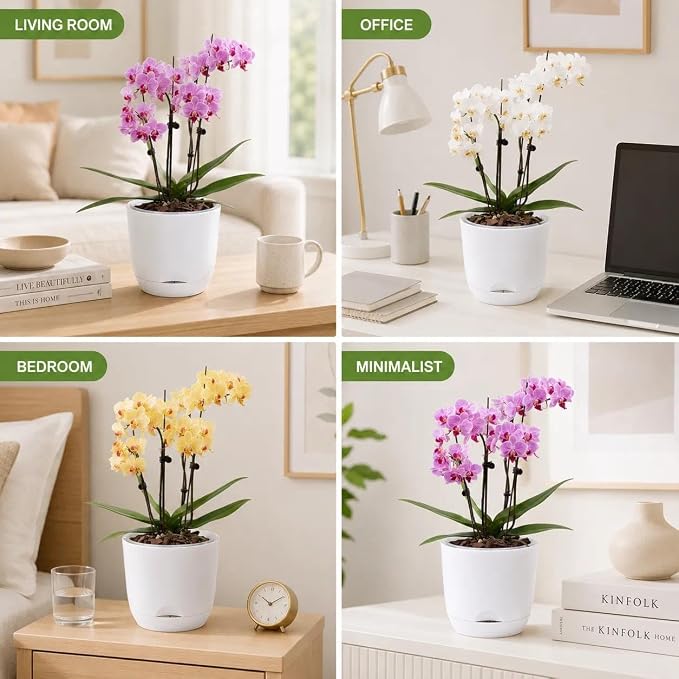 5.7Inch White Orchid Pots with Holes for Repotting, Double-Layer Plastic Self Watering Flower Pots for Indoor Plants with Drainage Holes, Clear Orchid Pot Match Decorative Orchid Container, 3 Packs