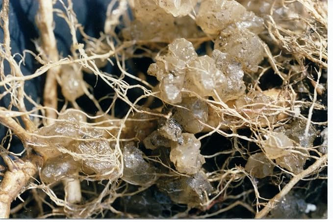 Soil Moist Flower & Garden Plus Mycorrhizal Soil Additive