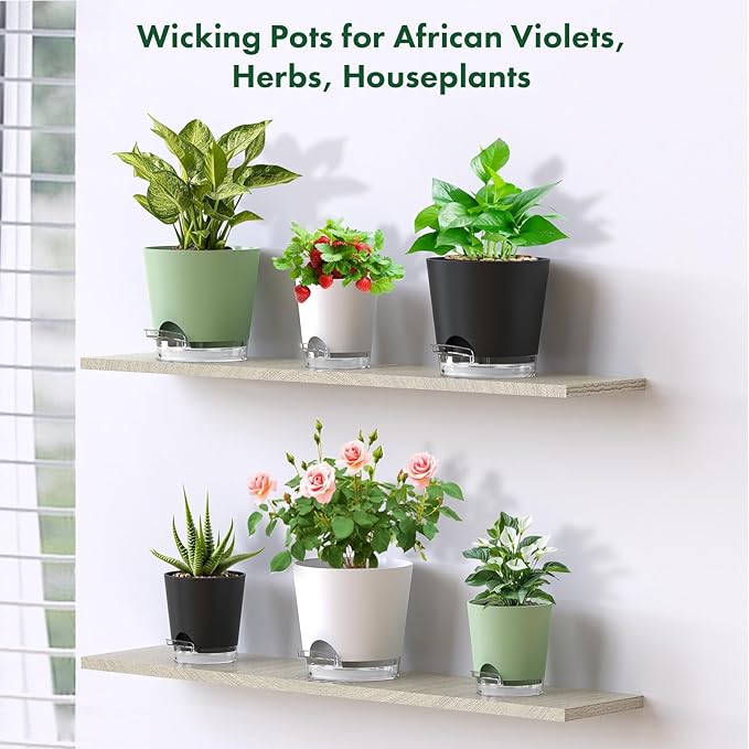 Meowell 8 inch Self Watering Pots for Indoor Outdoor Plants, 2 Pack Flower Plant Pots with Drainage Holes & Clear Reservoir for Visible Water Level, Plastic Wicking Planters for House Plants, Black