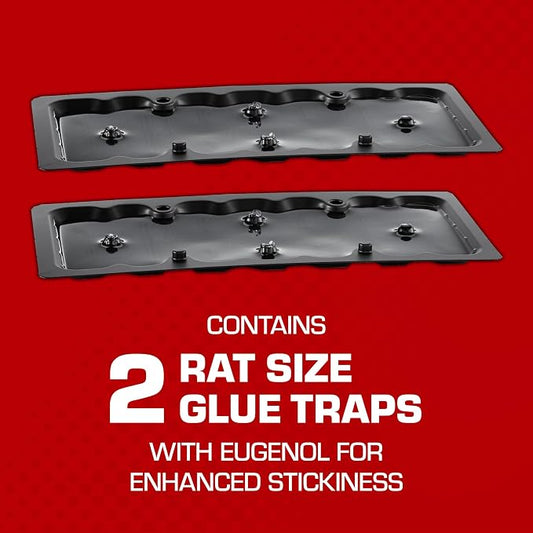 Tomcat Glue Traps Rat Size with Eugenol for Enhanced Stickiness, 24 Traps | Also Captures Mice, Cockroaches, Snakes, Scorpions, and Spiders, Ready-to-Use, 6 Packages with 4 Glue Traps Each