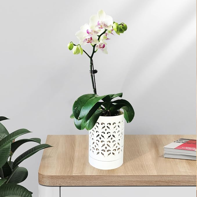 Orchid Pots with Holes 4 Inch, Ceramic Orchid Pot for Repotting with Saucers,More Ventilation Hole Easy Breathing, Plant Pot for Repotting Orchids and Other Flowers - Indoor/Outdoor