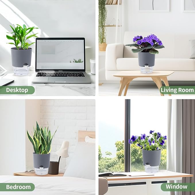 Oliz Self Watering Planters for Indoor Plants : 6 inch 3 Pack White African Violet Self Watering Flower and Herb pots