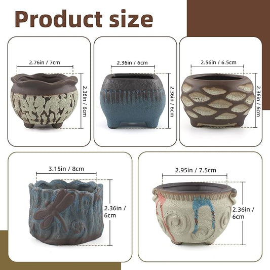 Ceramic Garden Pots Succulent Plant Planter Container with Drainage Set of 5 Small for Home Office Decor