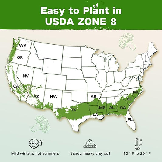 Zone 8 Heirloom Seed Bank, 32 Types Non-GMO Seeds for Planting Vegetables | 30,000+ Garden Seeds for Planting Herbs Fruits, Gardening Gifts for Women Men, Survival Seed Kit for Raised Beds Greenhouses
