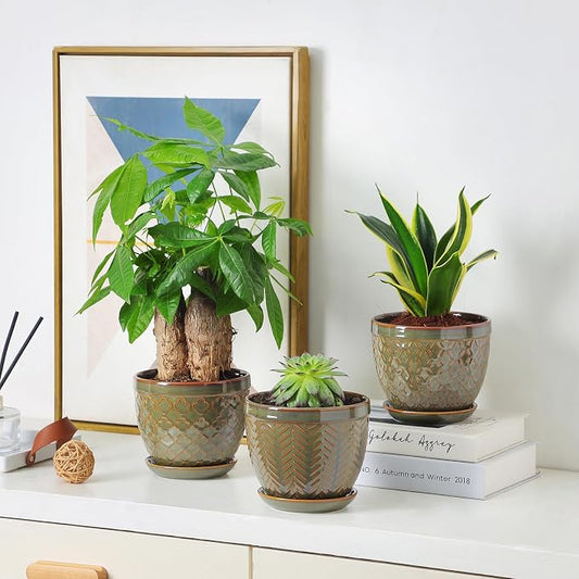 Sureasy Ceramic Indoor Plant Pots, 5.6 Inch Flower Pots for Plants with Drainage Hole and Saucer, Embossed Planter for Succulents, Orchid, Cactus, Indoor Home Decor, Set of 4, Green
