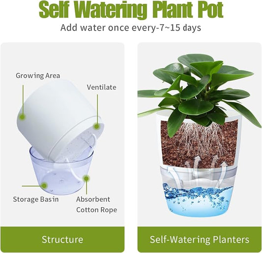 Oliz 6" Self Watering Pots for Indoor Plants, 3pk White w/Drainage Holes | Modern Decorative Garden Pots, Orchid Planters with Wick Ropes, African Violet Pots