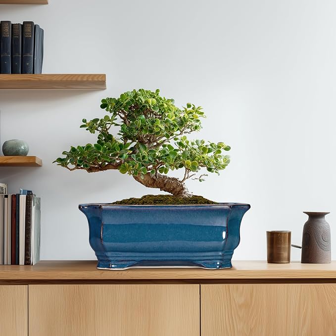 Bonsai Tree Pot - 13.7 Inch Large Ceramic Succulent Planter for Indoor Outdoor, Rectangle Plant Pot with Drainage Hole, Decorative Flower Pots, Home Decor, Gifts for Plant Lovers, Retro Blue