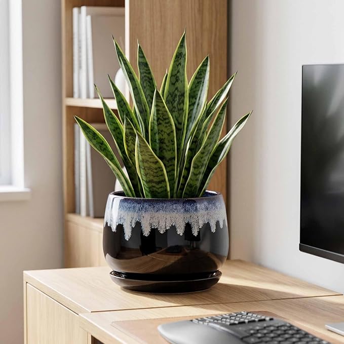 Ceramic Plant Pots - 9 Inch Flower Pots for Indoor Plants, Decorative Pots for Plants with Drainage and Saucer, Large Planter, House Office Decor, Gardening Gifts for Women, Black-Blue