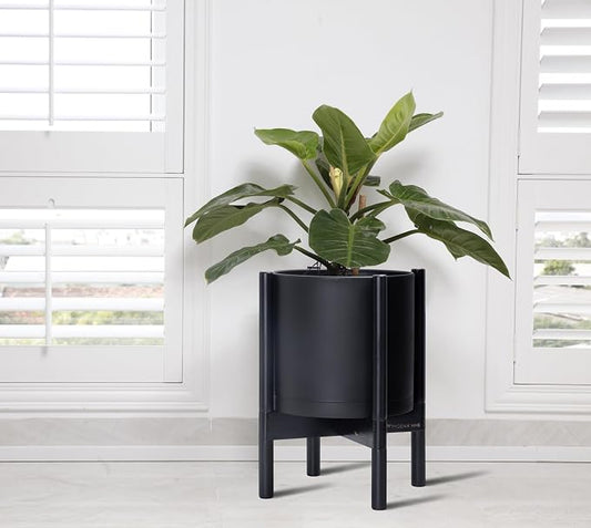 D'vine Dev Plastic Pot with Ebony Wood Stand, Black, 10 in, 55-C-N-2 | Mid-Century Inspired Design, Elevated Plant Display, Clean Lines, Sturdy Support, Modern Space-Saving Style
