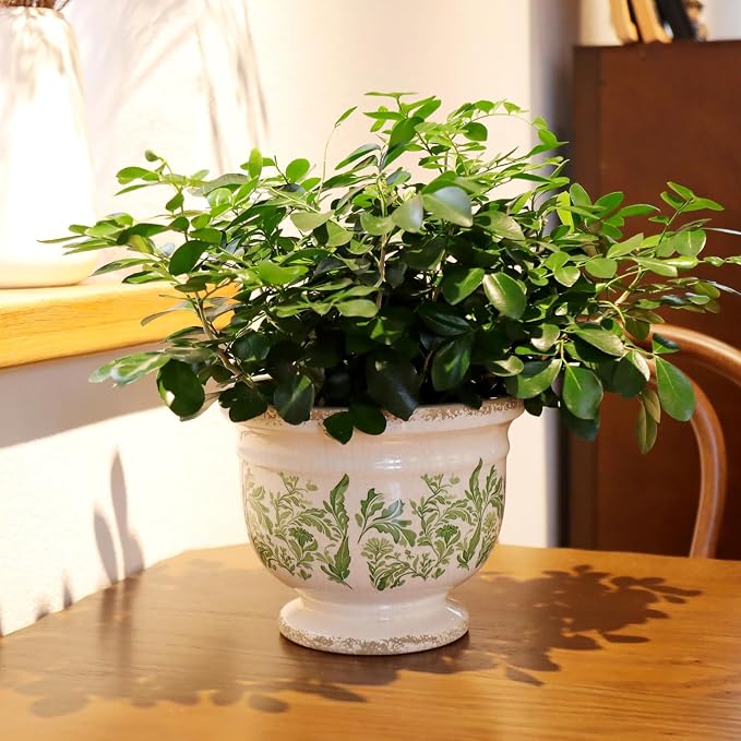 Vintage Ceramic Planter Pot with Drainage, 6.8 Inch Large Crackle Glaze Flower Pot with Green Floral Leaf Pattern for Succulents, Flowers, Farmhouse Country Rustic Planters for Gardening Gift