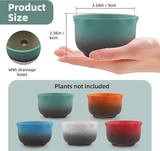 Small Ceramic Garden Pots Succulent Plant Planter Container with Drainage Set of 5 for Home Office Decor