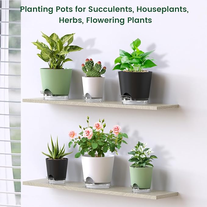 Meowell 6 inch Self Watering Pots for Indoor Outdoor Plants, 6 Pack Flower Plant Pots with Drainage Holes and Clear Reservoirs, Visible Water Level, Plastic Planters with Wicking Rope, White