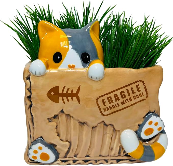 Streamline Imagined Cat in the Box Planter