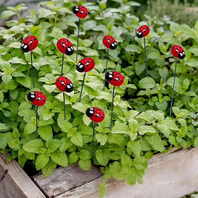 Garden Stakes Decor,10Pcs Garden Stakes Decorative Outdoor Lawn Pathway Patio Plant Pot Art Stick Yard Art Decorations for Pot Lawn Patio Corridor Flower Bed Outdoor Plant (Ladybug)