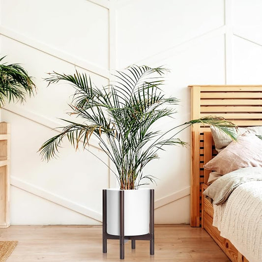 D'vine Dev Plastic Pot with Walnut Wood Stand, White, 12 in, 55-C-O-1 | Mid-Century Inspired Design, Elevated Plant Display, Clean Lines, Sturdy Support, Modern Space-Saving Style