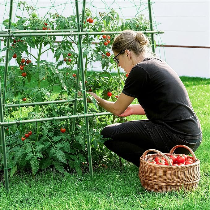 HIRALIY Cucumber Trellis for Climbing Plants Outdoor, 5.25ft Tall Heavy Duty Metal Garden Arch Trellis, Rustproof Plant Support Tunnel for Tomato, Grape, Bean, Raised Bed and Vegetable Gardens, Green