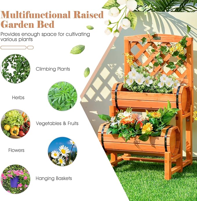 Giantex Raised Garden Bed with 2 Barrel Planters & Trellis, 2-Tier Freestanding Wooden Raised Bed for Vegetable Flower Fruit, Indoor Outdoor Plant Box for Garden Yard Balcony