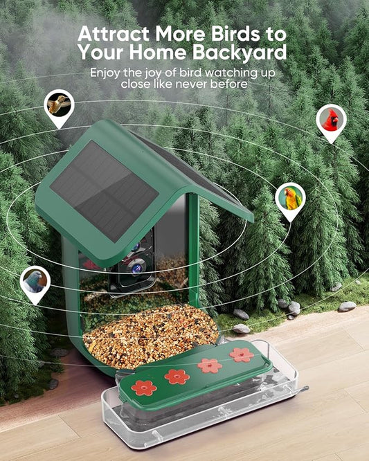 Bird Feeder with Camera Solar Powered: Smart Hummingbird Feeder for Backyard Tree - 2K Live AI Identify Auto Capture Bird Video - WiFi Bird Watching Feeders Gift for Mom Dad