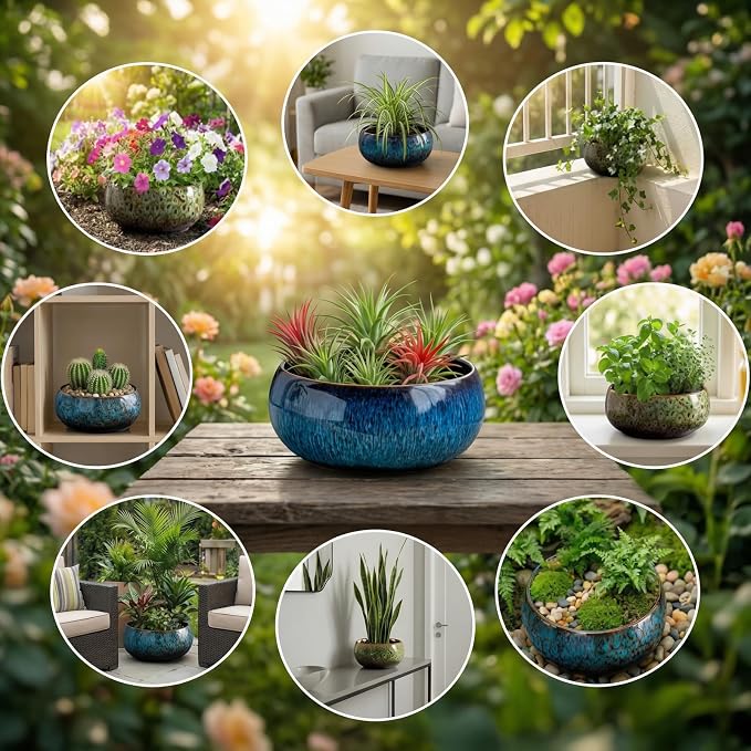 Lotus Bowl Planter - Ceramic Leak-Proof Hydroponic Pot with Rotating Bracket, 6.5 x 2.5 in Round Shallow Plant Glazed Vase, Indoor Water Planting for Home, Patio, Zen Garden Decor