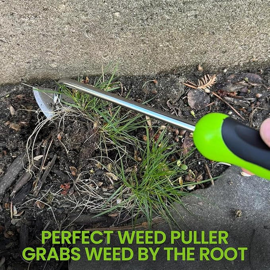 Garden Guru Dandelion Weeder & Root Weeder Tool - Rust Resistant Stainless Steel Weed Puller with Ergonomic Handle for Planting, Weeding, Flower and Vegetable Care in Lawn Garden Yard
